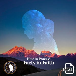 How to Process facts, In faith by kirby de lanerolle